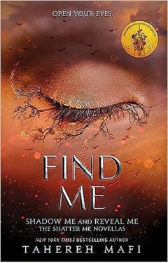 Find Me: TikTok Made Me Buy It! The most addictive YA fantasy series of the year 